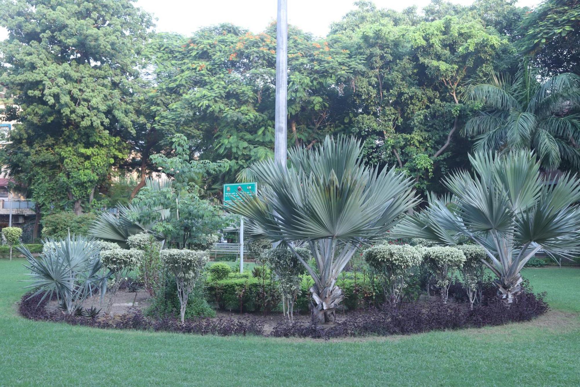 Divine India Service Apartment 3Bhk,B57 Sarita Vihar,Apollo Нью-Делі Екстер'єр фото